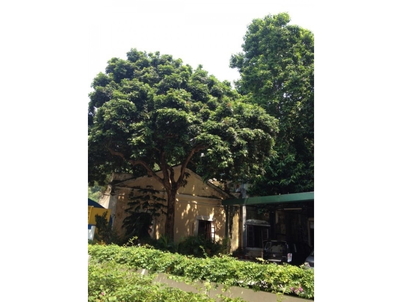 下載 (13)