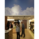下載 (6)